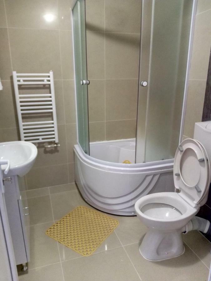 Camere De Inchiriat Carpati Hunedoara Buitenkant foto